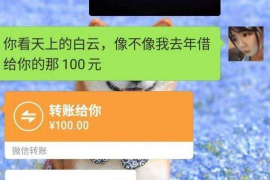 丽江为什么选择专业追讨公司来处理您的债务纠纷？