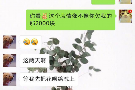 丽江遇到恶意拖欠？专业追讨公司帮您解决烦恼